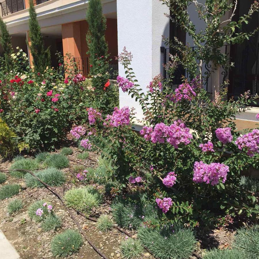 Apartament On The Beach Prestige Sweti Wlas Exterior foto
